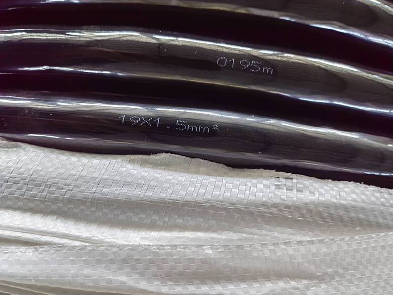 16964739262253.jpg 323.jpg